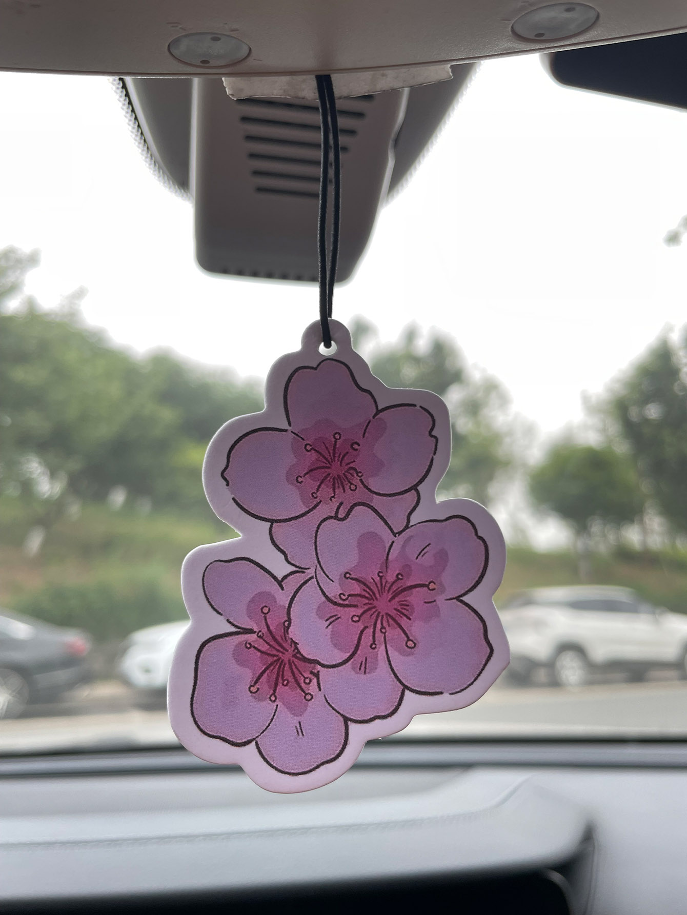Profumo per Auto Neutro a Cinq - Perfume Room Fragrance recensione e prezzo